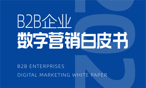 《B2B企業數字營銷白皮書》完整版正式發布！