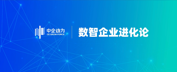 廣東華雷金屬：從內卷紅海殺向歐洲藍海，獨立站+Google破局外貿