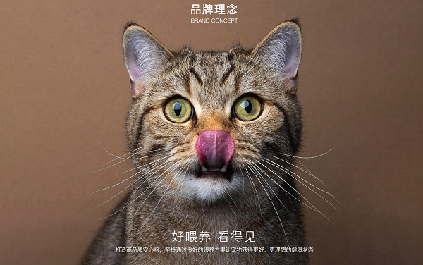 用“数字语言”重构宠物品牌信任体系 | 设计大赛案例赏析
